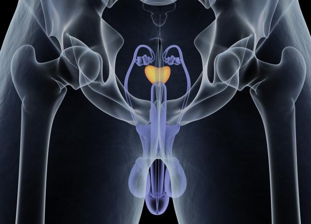Struènjaci: Na ovaj naèin možete da smanjite rizik od raka prostate